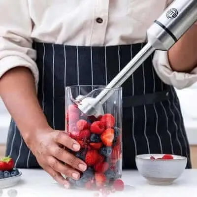 Handheld Stick Blender 2