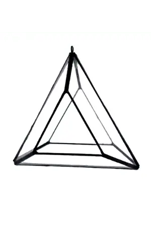 The Air Plant Terrarium 1