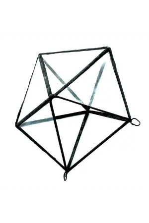 The Pentagon Terrarium 1