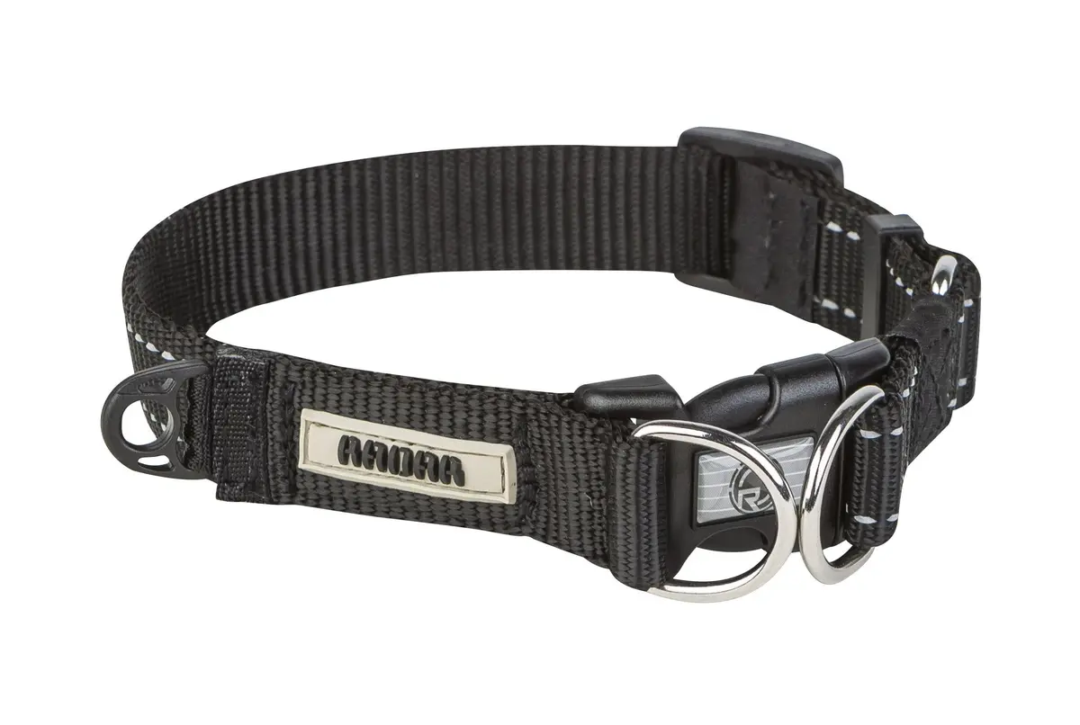 Radar Dog Collar 1